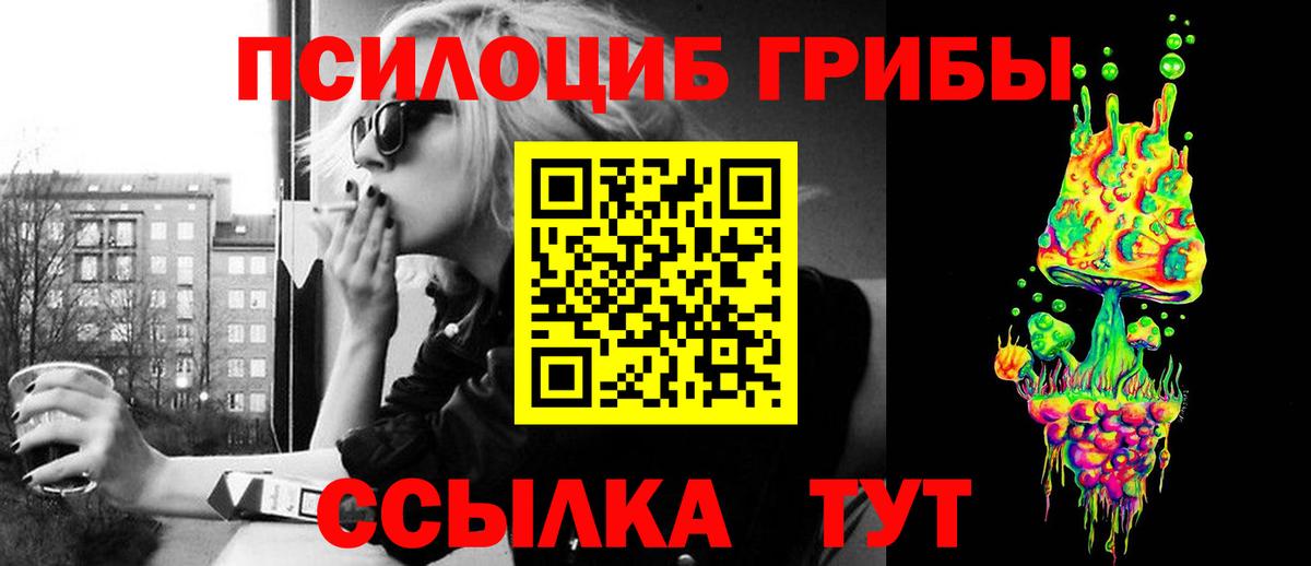 Галлюциногенные грибы Psilocybine cubensis Бор