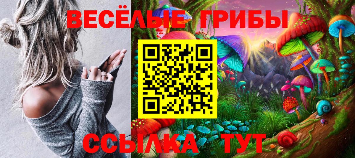 закладка  Вход с VPN  Бор  Псилоцибиновые грибы Magic Shrooms 